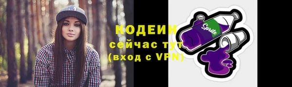 спиды Гусь-Хрустальный