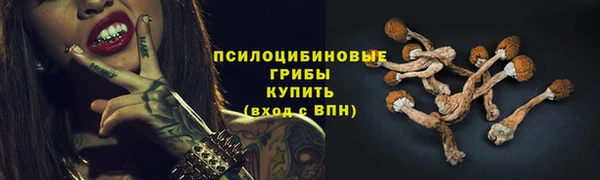 соль ск Горно-Алтайск