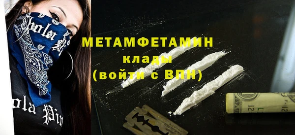 прущие грибы Гусев
