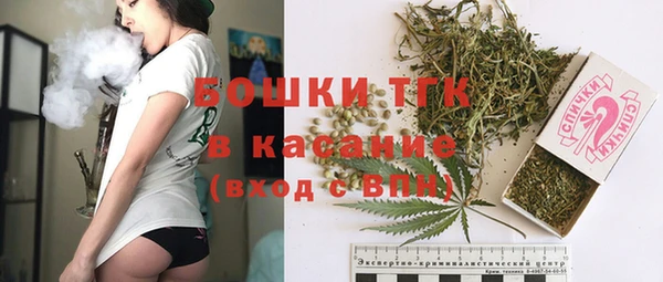 молекула духа Горнозаводск