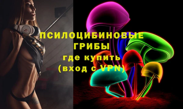 молекула духа Горнозаводск